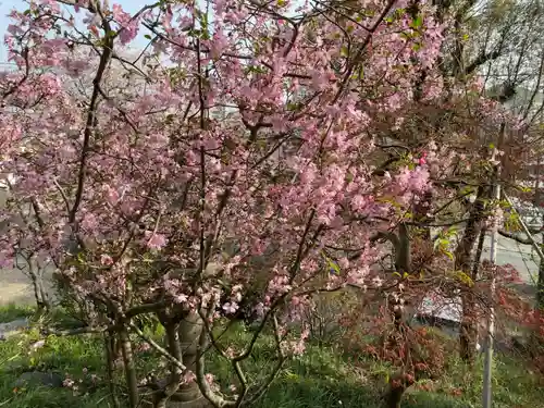 五所八幡宮の自然