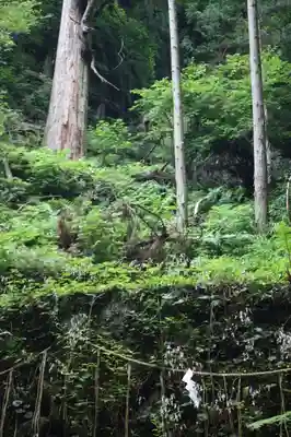 貴船神社(京都府)