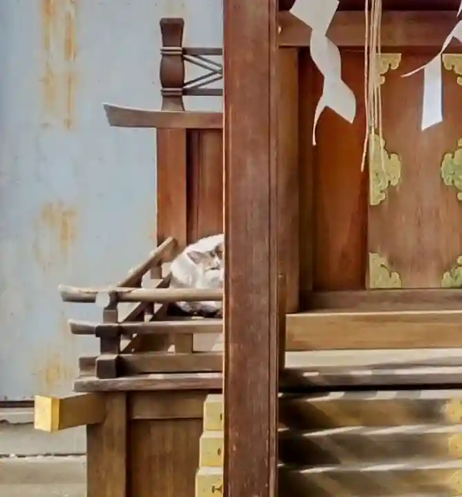 神明社・八幡社合殿(中杉町)の動物