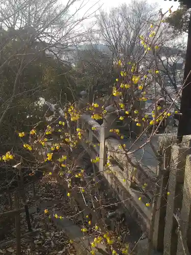 阿智神社の自然