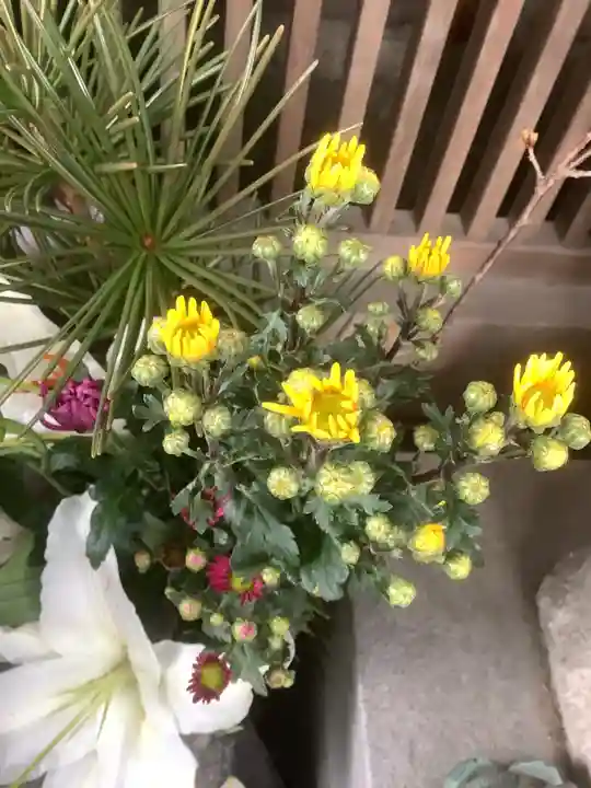 龍福寺(普照庵 龍福寺)(愛知県)