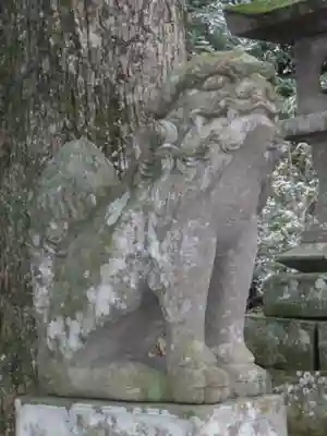 倉吉八幡宮の狛犬