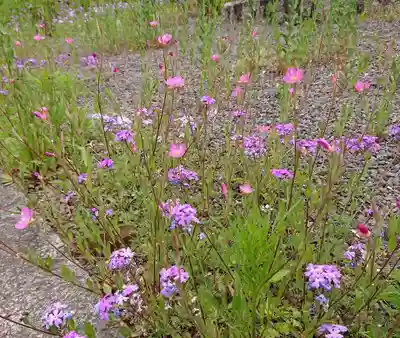 全龍寺(埼玉県)