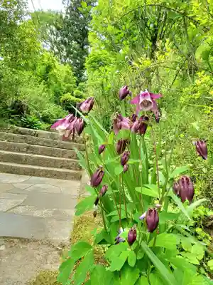 石都々古和気神社(福島県)