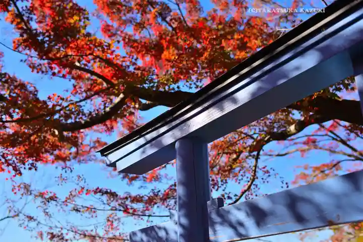 足利織姫神社(栃木県)