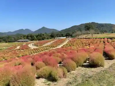 大宮神社の景色