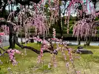 十日恵比須神社(福岡県)