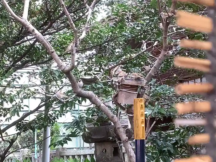 三輪神社のその他建物