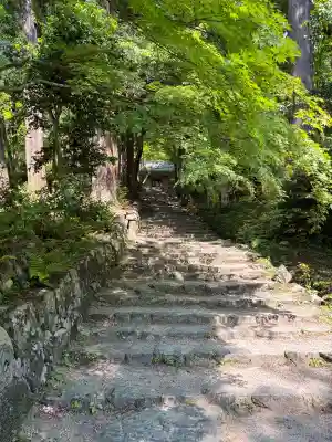 百済寺の{uncategorized: "未分類", other: "その他", undefined: "問題あり", building: "その他建物", grave: "お墓", sacred_gate: "鳥居", guardian: "狛犬", statue: "像", buddha: "仏像", history: "歴史", nature: "自然", garden: "庭園", animal: "動物", pagoda: "塔", temizu: "手水舎", mountain_gate: "山門・神門", sanctuary: "本殿・本堂", subordinate: "末社・摂社", art: "芸術", scenery: "景色", jizo: "地蔵", ema: "絵馬", goshuin: "御朱印", omikuji: "おみくじ", items: "授与品その他", amulet: "お守り", goshuincho: "御朱印帳", eats: "食事", festival: "お祭り", votive_dance: "神楽", shichigosan: "七五三参", wedding: "結婚式", experience: "体験その他", initially: "初詣", around: "周辺", anti_infection: "感染症対策"}
