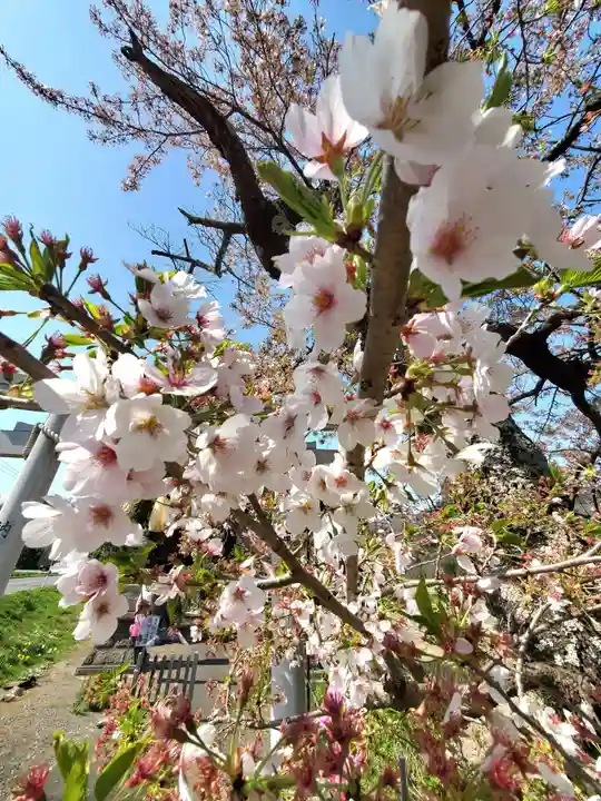 高司神社〜むすびの神の鎮まる社〜(福島県)