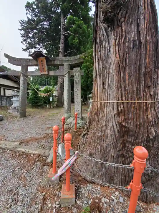 生子神社の鳥居