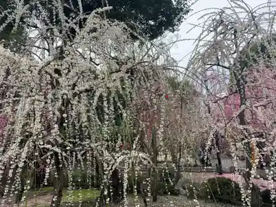 城南宮(京都府)