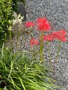 梅香寺(三重県)(2024年10月10日(木) 10時06分34秒投稿)