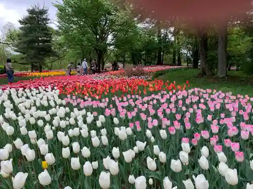 穂高神社本宮(長野県)