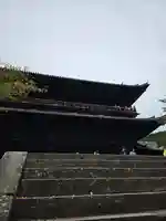 禅林寺(永観堂)(京都府)