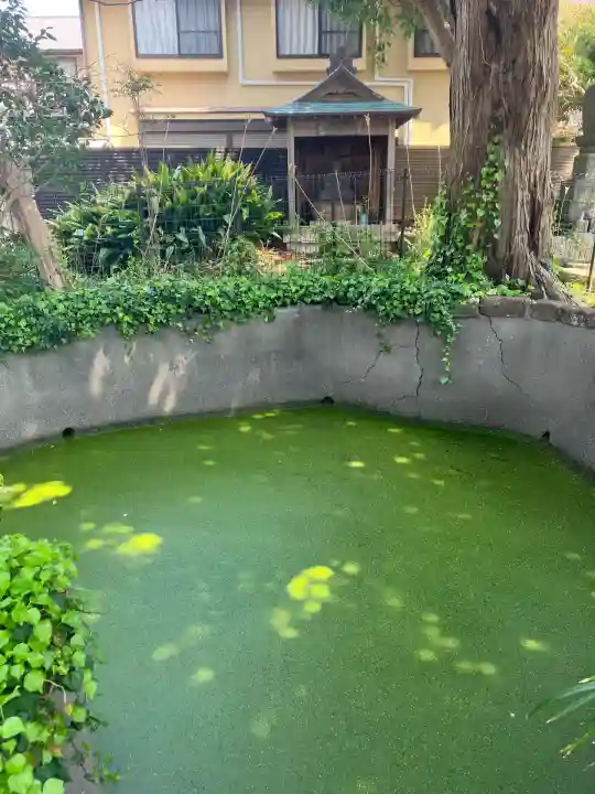 妙隆寺(神奈川県)