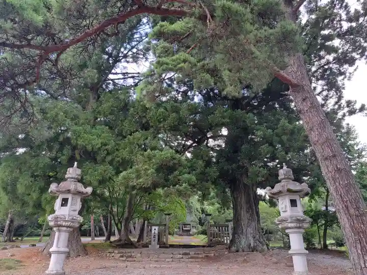 普門寺の{uncategorized: "未分類", other: "その他", undefined: "問題あり", building: "その他建物", grave: "お墓", sacred_gate: "鳥居", guardian: "狛犬", statue: "像", buddha: "仏像", history: "歴史", nature: "自然", garden: "庭園", animal: "動物", pagoda: "塔", temizu: "手水舎", mountain_gate: "山門・神門", sanctuary: "本殿・本堂", subordinate: "末社・摂社", art: "芸術", scenery: "景色", jizo: "地蔵", ema: "絵馬", goshuin: "御朱印", omikuji: "おみくじ", items: "授与品その他", amulet: "お守り", goshuincho: "御朱印帳", eats: "食事", festival: "お祭り", votive_dance: "神楽", shichigosan: "七五三参", wedding: "結婚式", experience: "体験その他", initially: "初詣", around: "周辺", anti_infection: "感染症対策"}