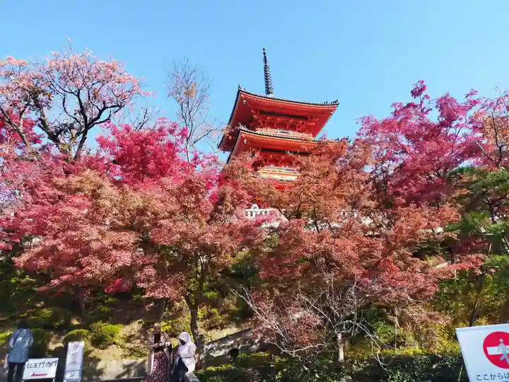 清水寺(京都府)