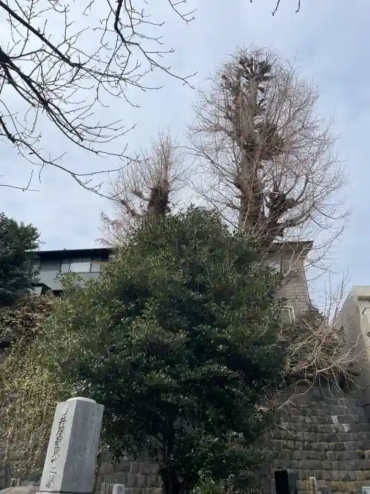 妙行寺の{uncategorized: "未分類", other: "その他", undefined: "問題あり", building: "その他建物", grave: "お墓", sacred_gate: "鳥居", guardian: "狛犬", statue: "像", buddha: "仏像", history: "歴史", nature: "自然", garden: "庭園", animal: "動物", pagoda: "塔", temizu: "手水舎", mountain_gate: "山門・神門", sanctuary: "本殿・本堂", subordinate: "末社・摂社", art: "芸術", scenery: "景色", jizo: "地蔵", ema: "絵馬", goshuin: "御朱印", omikuji: "おみくじ", items: "授与品その他", amulet: "お守り", goshuincho: "御朱印帳", eats: "食事", festival: "お祭り", votive_dance: "神楽", shichigosan: "七五三参", wedding: "結婚式", experience: "体験その他", initially: "初詣", around: "周辺", anti_infection: "感染症対策"}