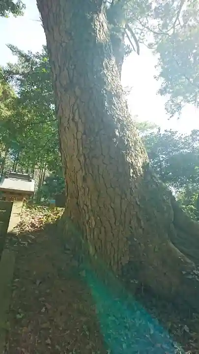 三峰神社のその他建物