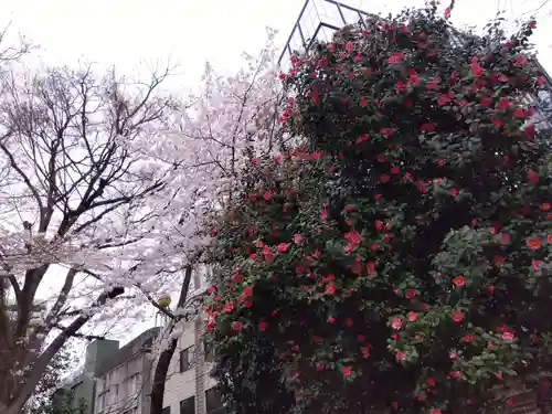 湯島聖堂(東京都)