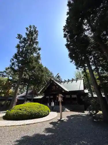 琴似神社(北海道)