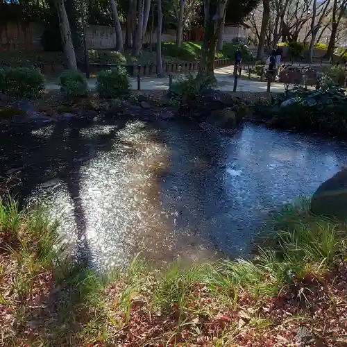 増上寺塔頭 三縁山 宝珠院の庭園