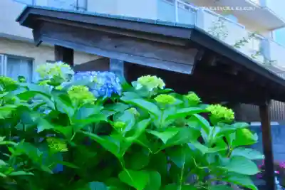 圓乘寺(東京都)