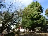 千葉寺(千葉県)