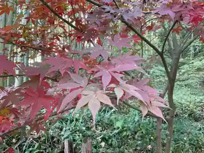 教林坊(滋賀県)