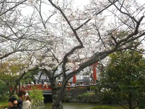 鶴岡八幡宮の庭園