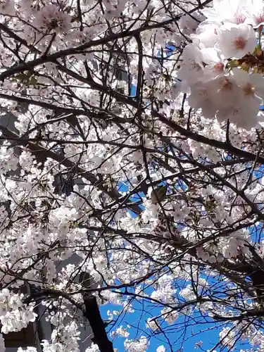 秋葉神社の動物