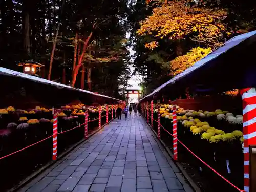 彌彦神社の景色