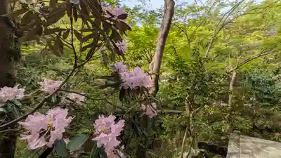 圓光寺(京都府)