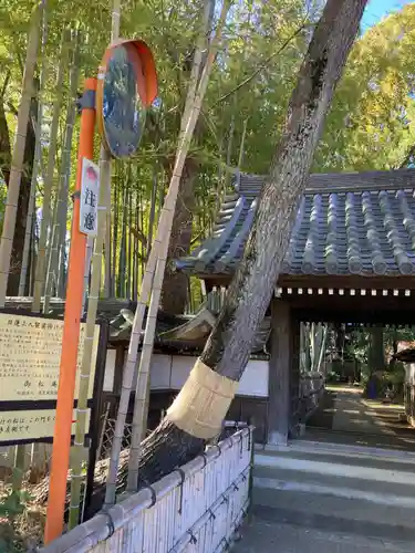 妙福寺(東京都)