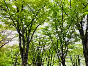 土津神社|こどもと出世の神さまの自然(2021年05月15日(土) 20時43分40秒投稿)