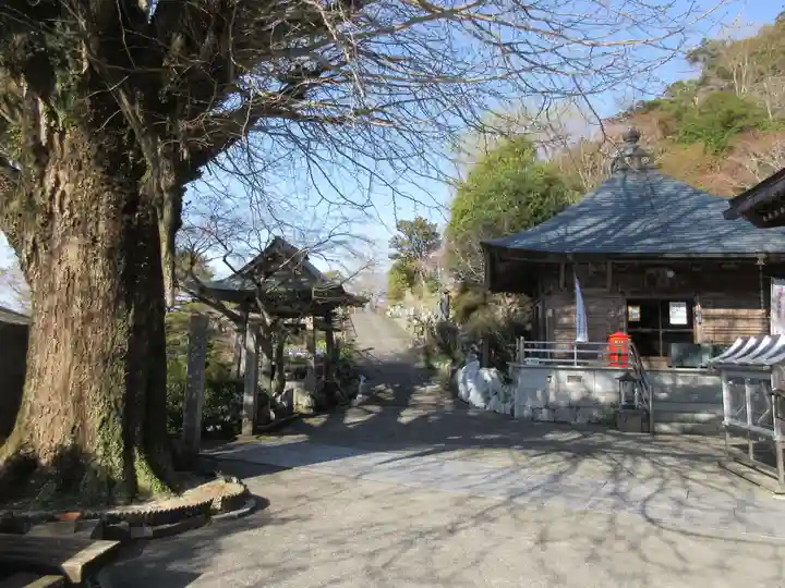 慈眼寺(徳島県)