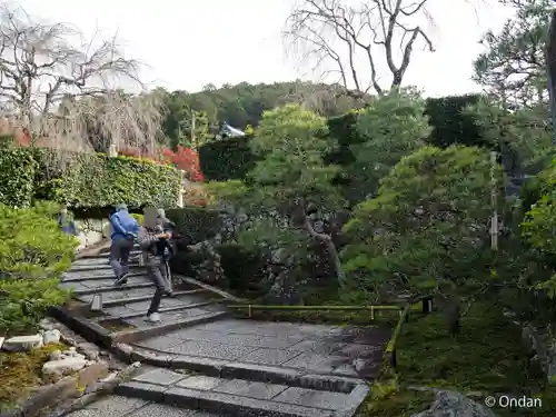 圓光寺(京都府)
