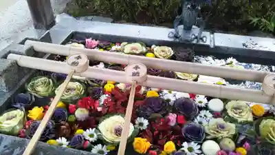 姪浜住吉神社の手水舎