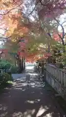 道場寺の建物その他