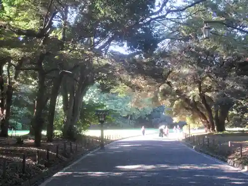 明治神宮(東京都)