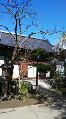 海禅寺の本殿・本堂