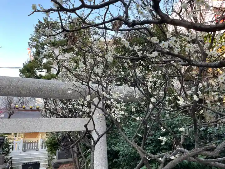 蒲田八幡神社の自然