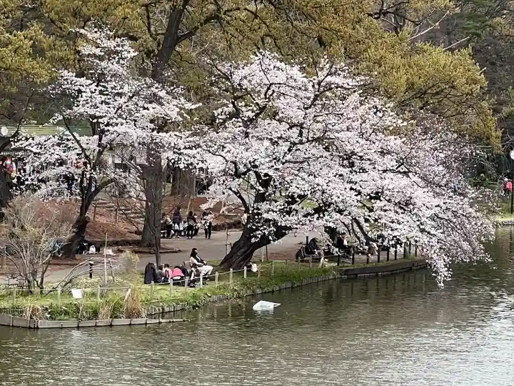 武蔵一宮氷川神社(埼玉県)