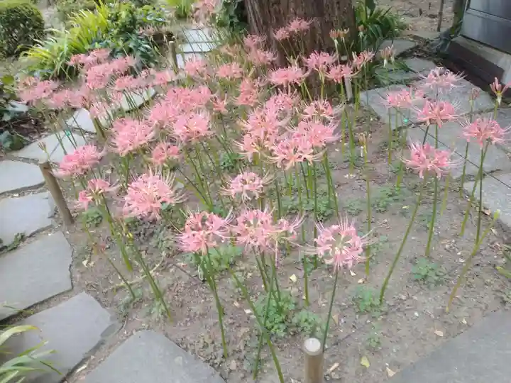 横浜 西方寺の自然