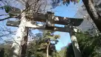 長崎神社の鳥居