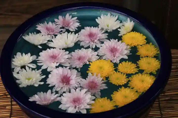 阿邪訶根神社の授与品その他