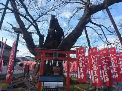 秩父今宮神社(埼玉県)