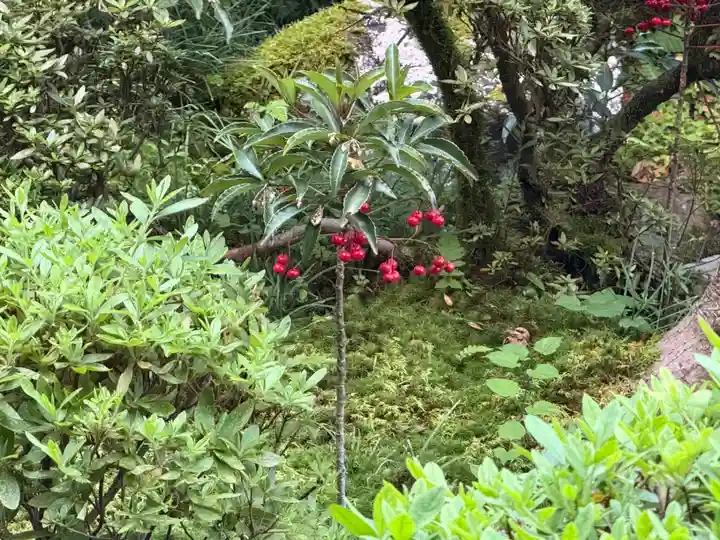 西方山極楽寺(岐阜県)
