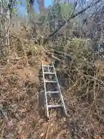 日限稲荷神社(栃木県)